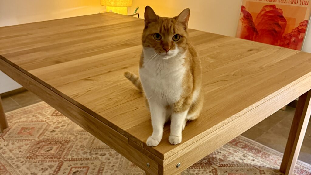 Társasjáték asztal levehető fedlapokkal. 